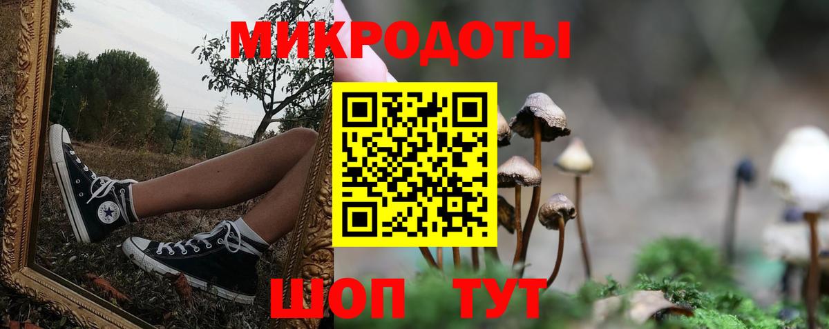 Галлюциногенные грибы Cubensis  Псилоцибиновые грибы GOLDEN TEACHER  закладки  Вход с VPN  Осинники 
