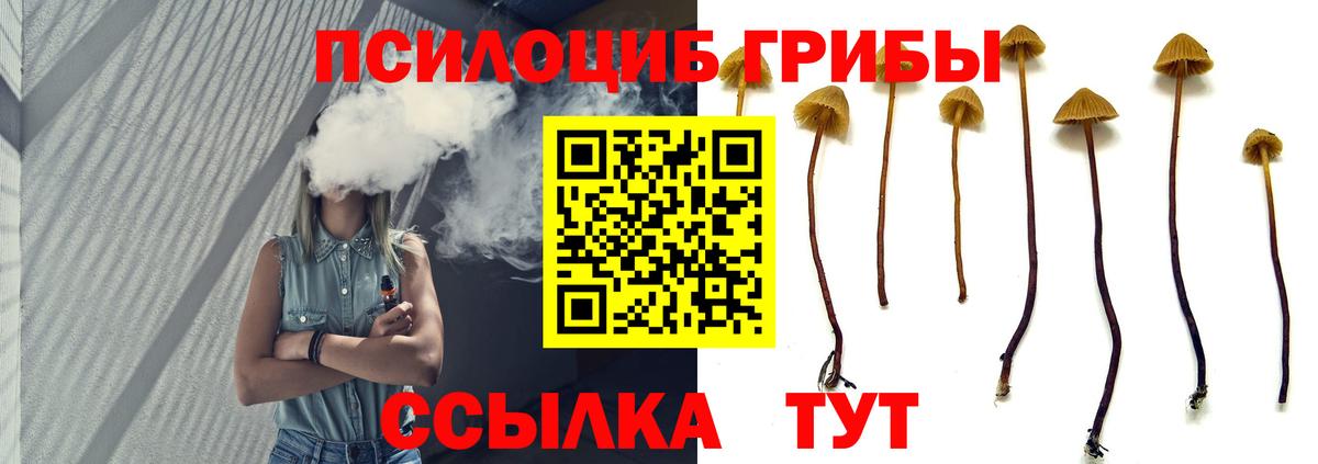 Галлюциногенные грибы ЛСД Осинники